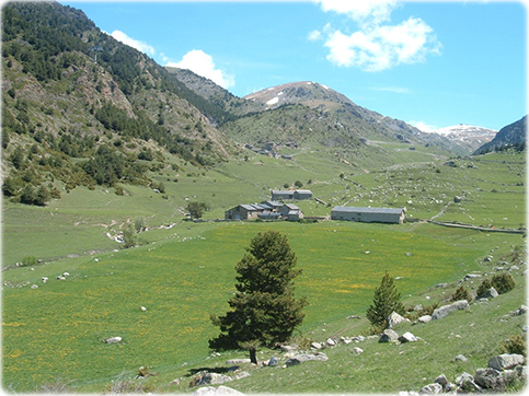 Vale Andorra