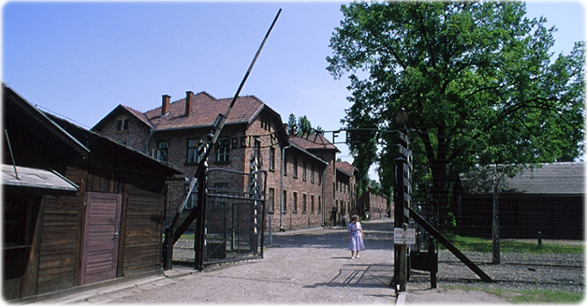 Auschwitz Polonia